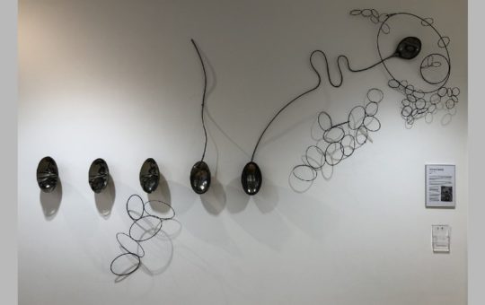 Coil and Spring Project Jacky Oliver